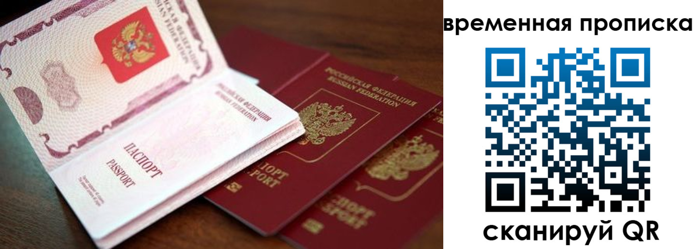 прописка гарантия в Щучье